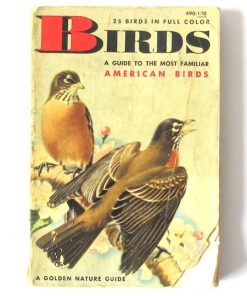Imágen 1 del libro: Birds, a guide to the most familiar american birds - Usado