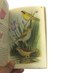 Imágen 2 del libro: Birds, a guide to the most familiar american birds - Usado