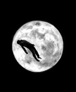 Imágen 4 del libro: Catálogo de luces