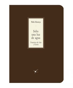 Imágen 1 del libro: Sólo una luz de agua