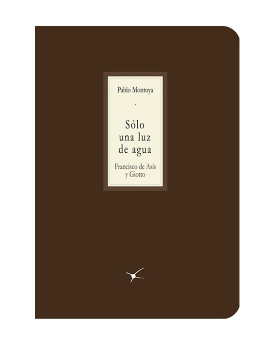 Tragaluz___S+›lo_una_luz_de_agua___Libros___Antimateria_1 Imágen 1 del libro: Sólo una luz de agua