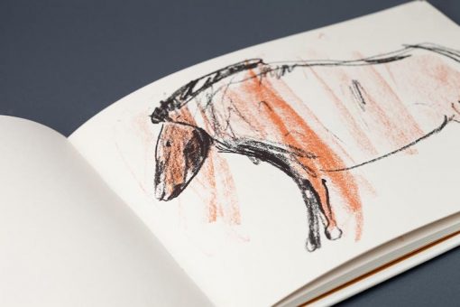 Imágen 2 del libro: Un bestiario de la prehistoria