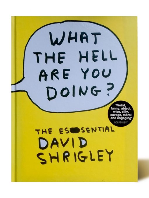 Imágen 1 del libro: What the hell are you doing? – The essential David Shrigley - Usado