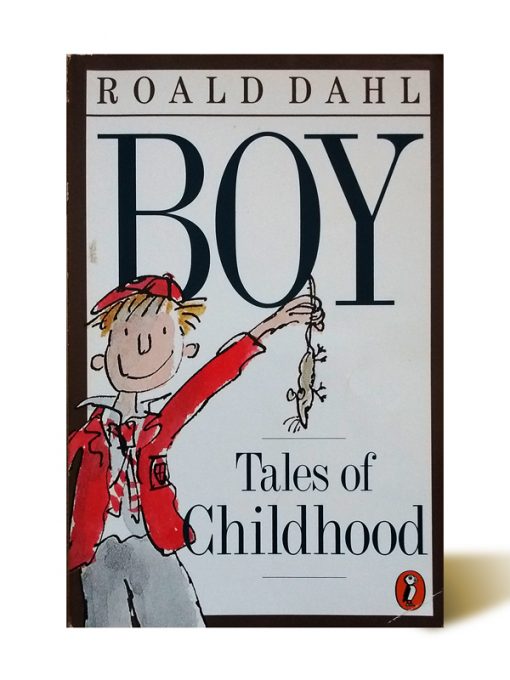 Imágen 1 del libro: Boy. Tales of Childhood - Usado