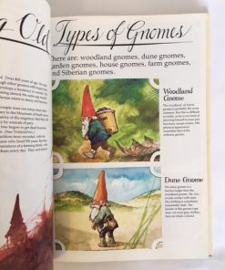 Imágen 4 del libro: Gnomes