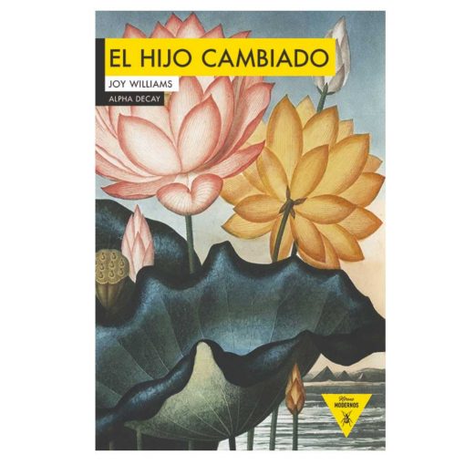 Imágen 1 del libro: El hijo cambiado