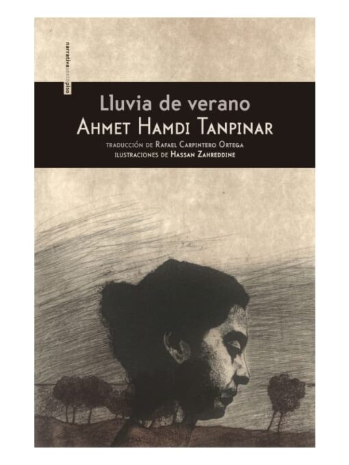 Imágen 1 del libro: Lluvia de verano