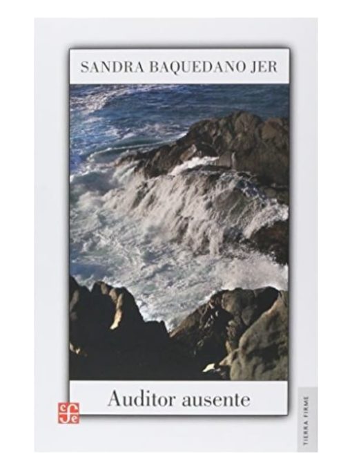 Imágen 1 del libro: Auditor ausente