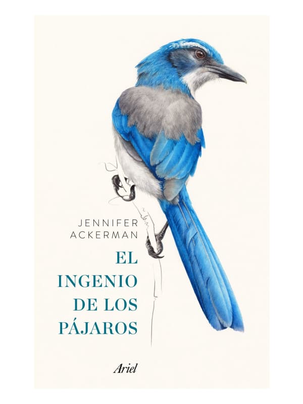 9789584258632-cover Imágen 1 del libro: El ingenio de los pájaros