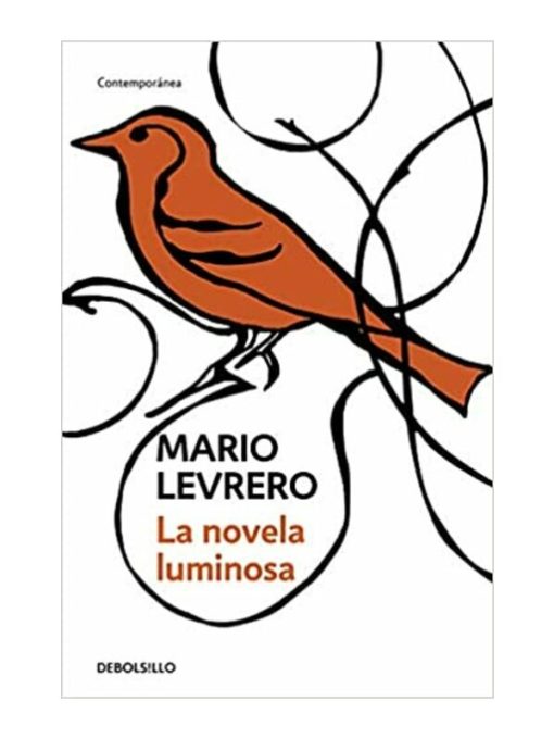 Imágen 1 del libro: La novela luminosa