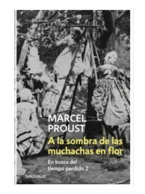 Imágen 1 del libro: A la sombra de las muchachas en flor