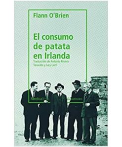 Imágen 1 del libro: El consumo de patata en irlanda