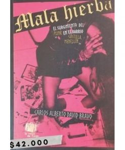 Imágen 1 del libro: Mala hierba - El surgimiento el punk en el barrio Castilla, Medellín