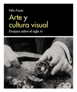 Imágen 1 del libro: Arte y cultura visual - Ensayos sobre el siglo XX