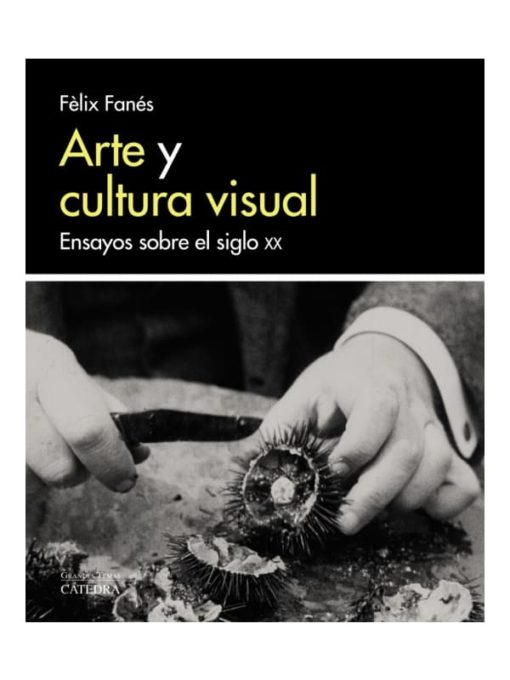 Imágen 1 del libro: Arte y cultura visual - Ensayos sobre el siglo XX