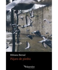 Imágen 1 del libro: Pájaro de piedra