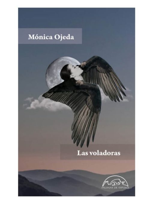 Imágen 1 del libro: Las voladoras