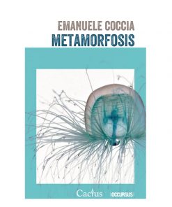 Imágen 1 del libro: Metamorfosis