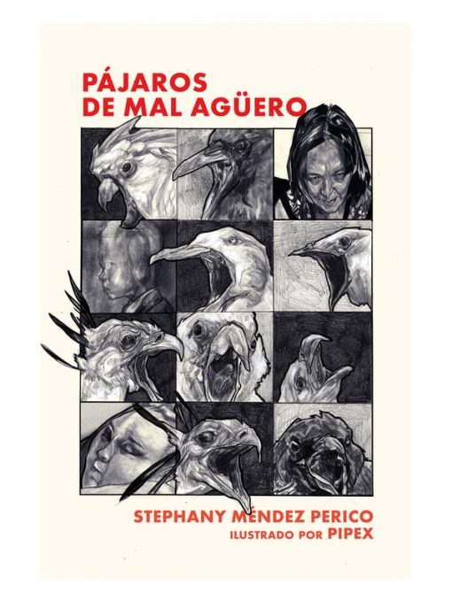 Imágen 1 del libro: Pájaros de mal agüero