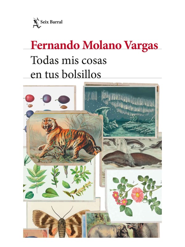 Todas mis cosas en tus bolsillos Imágen 1 del libro: Todas mis cosas en tus bolsillos