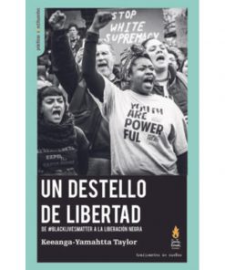 Imágen 1 del libro: Un destello de libertad, de #blacklivesmatter a la liberación negra