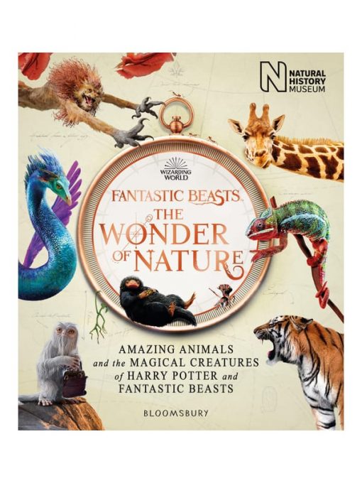 Imágen 1 del libro: Animales fantásticos: maravillas de la naturaleza