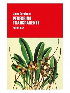 Imágen 1 del libro: Peregrino transparente