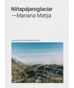 Cubierta del libro: Niñapájaroglaciar