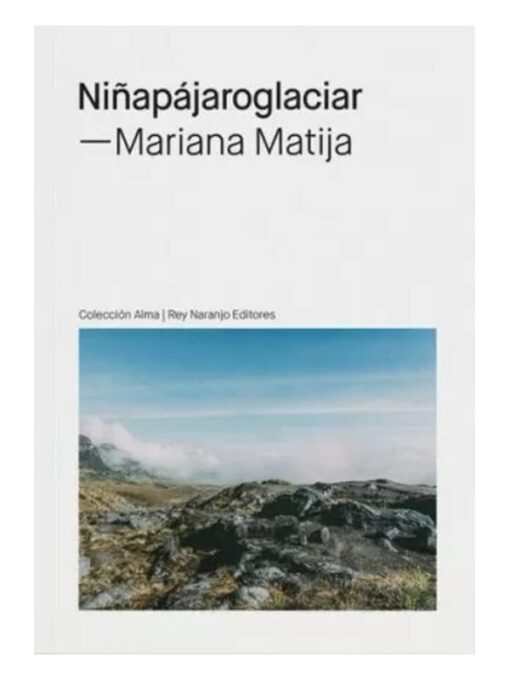 Cubierta del libro: Niñapájaroglaciar