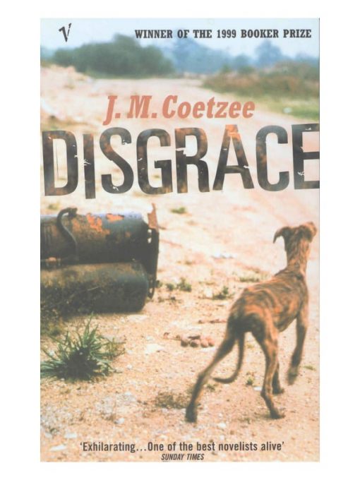 Imágen 1 del libro: Disgrace