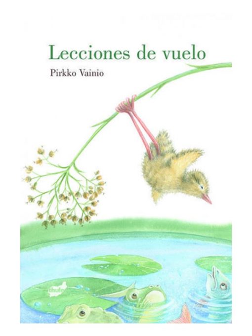 Imágen 1 del libro: Lecciones de vuelo