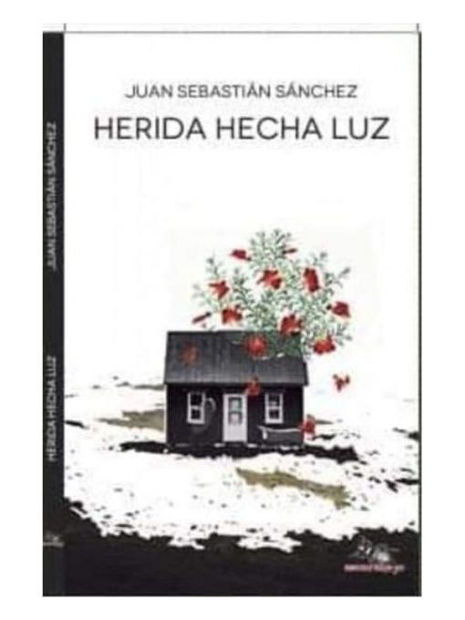 Imágen 1 del libro: Herida hecha luz